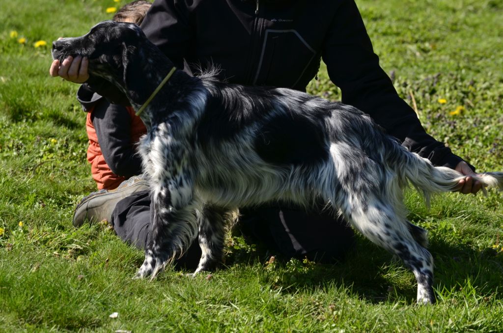 Pépite Des Belles Du Causse