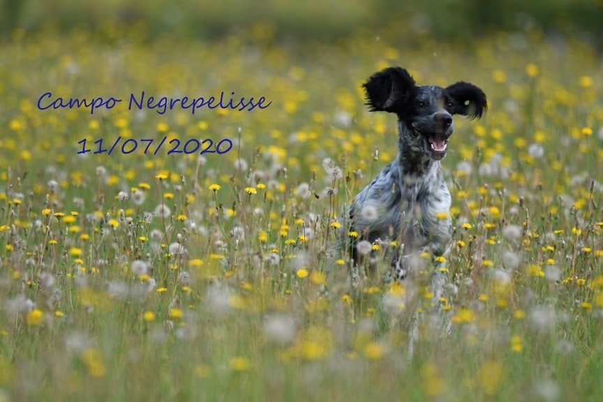 Campo Nègrepelisse 11/07/20